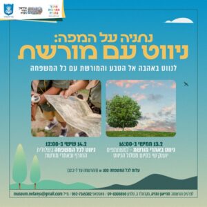 נתניה שמורת האירוסים, פריחת האירוסים, סיורי תיירות בנתניה, נתניה תיירות חורף, נתניה בטו בשבט, סיורים חינם,